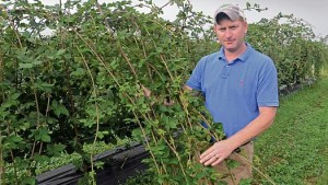 Top 10 Things Berry Growers Need To Do Before 2015