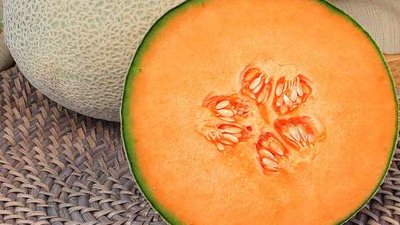 Clifton Seed Co. Presents Its Latest Vegetable Varieties