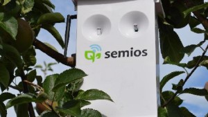 EPA Approves Three New Moth Mating Disruption Products