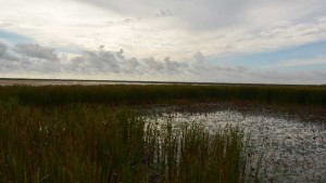 BMPs Key to South Florida Water Quality Success