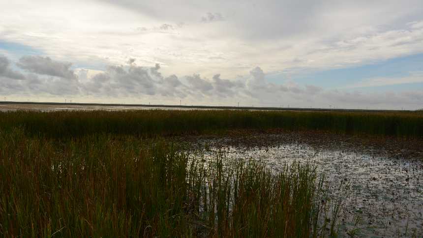 BMPs Key to South Florida Water Quality Success