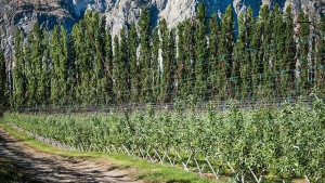 Washington State University Launches New Drought Website