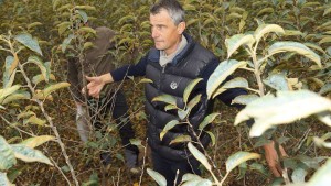 On The Road With The International Fruit Tree Association Study Tour To Italy Part 1 [Slideshow]
