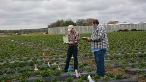 Parry America Aims To Boost Biopesticide Business Via Sales & Marketing Hire