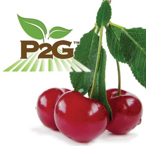 Krymsk® 5 Cherry Rootstock, Sierra Gold Nurseries