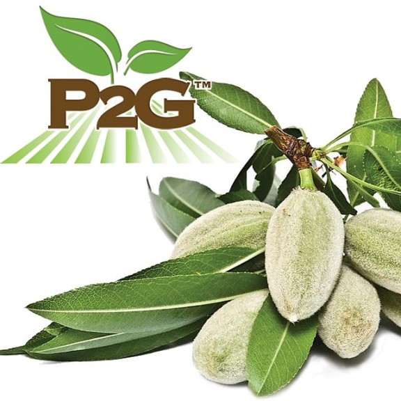 Krymsk® 86 Rootstock, Sierra Gold Nurseries