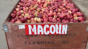 Growers Encouraged To Monitor Fruit Temperature Going Into Storage