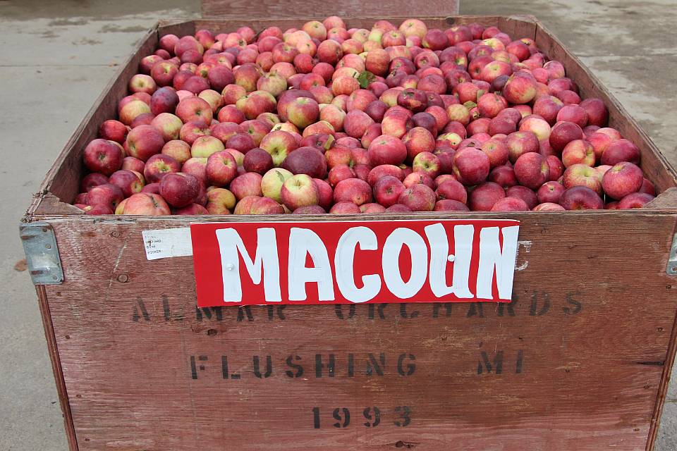 Growers Encouraged To Monitor Fruit Temperature Going Into Storage