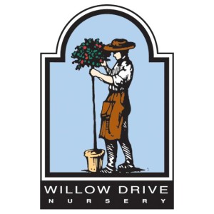 Willow Drive Nursery