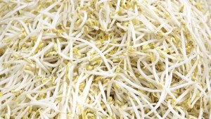 Food Company Agrees To Stop Distribution Of Sprouts In Contamination Case