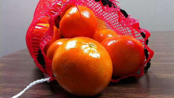 Florida Citrus Forecast Stands Firm Through Season’s First Month