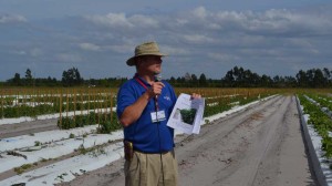 Getting To Know Nematicides