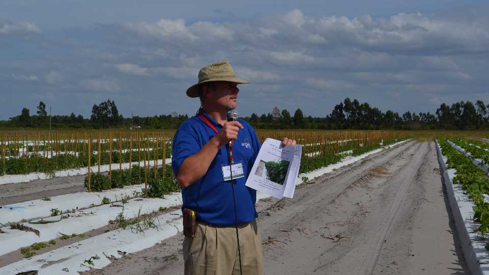Getting To Know Nematicides