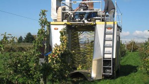 Promising Technology To Expand Hard Cider Industry