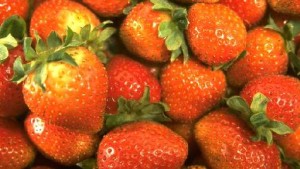 Packaging Company’s Campaign To Benefit Future Organic Farmers