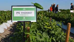 Seminis Hosts Growers For Its 2014 Southeastern Field Day