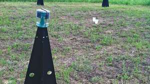 Manage Brown Marmorated Stink Bug  Without Abandoning IPM
