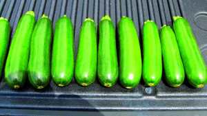 Green Machine