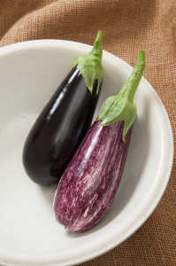 Greenhouse Eggplants