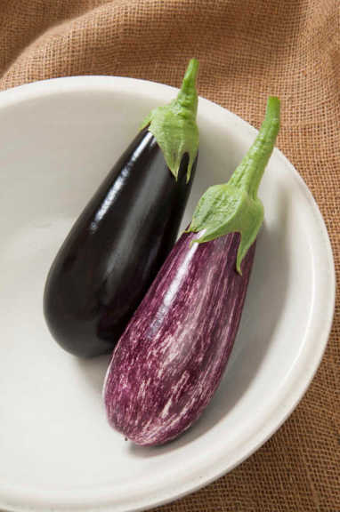 Greenhouse Eggplants