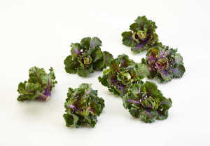 Kalettes TM