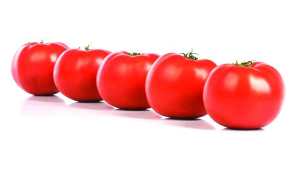 Rupp Seeds Showcases Its Latest Vegetable Varieties