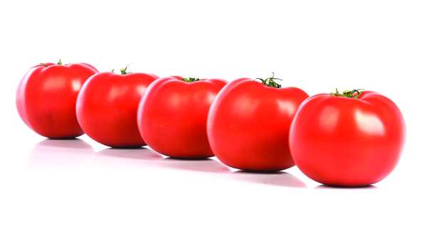 Rupp Seeds Showcases Its Latest Vegetable Varieties