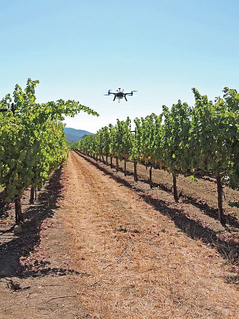 Unmanned Aerial Vehicles Give Viticulturist An Eye In The Sky