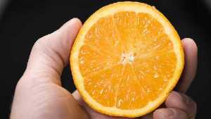 Citrus Research And Development Foundation Stepping Up For An Industry In Need