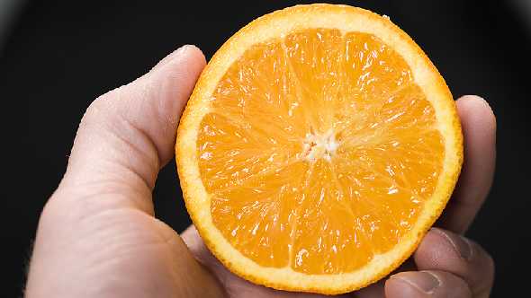 Florida Citrus Is Here To Stay
