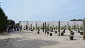 Southwest Florida Citrus Bus Tour Yields Learning Opportunity