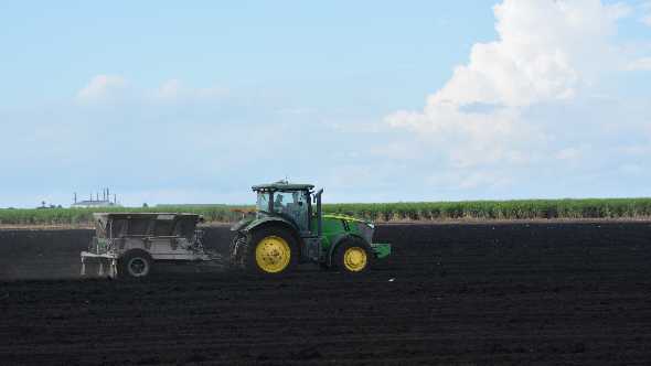 South Florida Farmers Going Extra Mile For Everglades Conservation