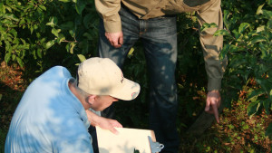 Survey: Positive Indicators For Biocontrols In U.S. Horticulture, Agriculture