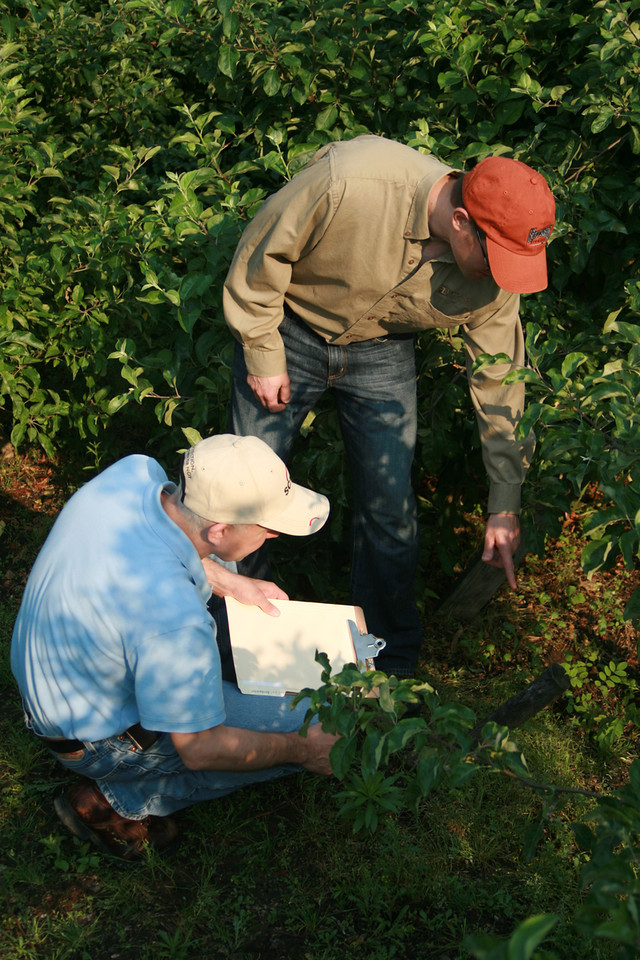 Survey: Positive Indicators For Biocontrols In U.S. Horticulture, Agriculture