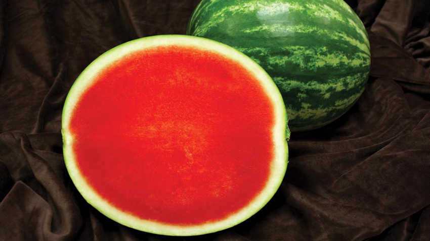 Details about   10/60 Seeds Watermelon Yellow Small Early Both Fruits Size Average