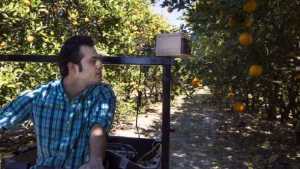 Researchers Develop Electronic Citrus Greening Detector