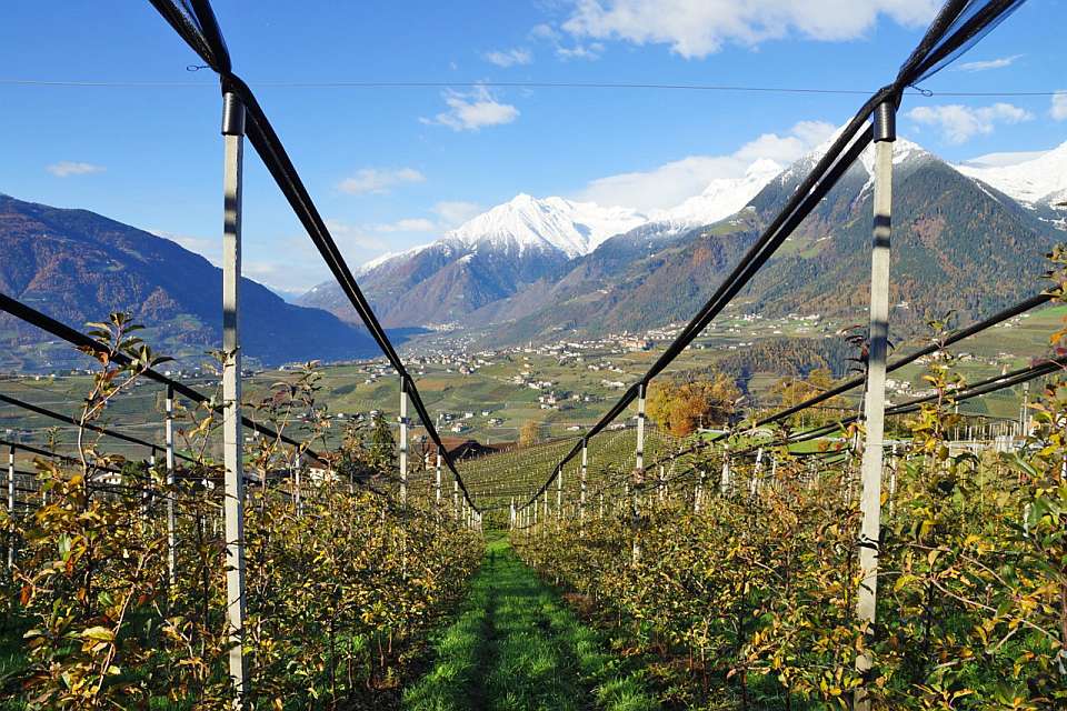On The Road With The International Fruit Tree Association Study Tour To Italy Part 3 [Slideshow]