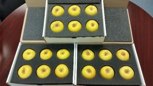 Opal Apples Launched Into Space