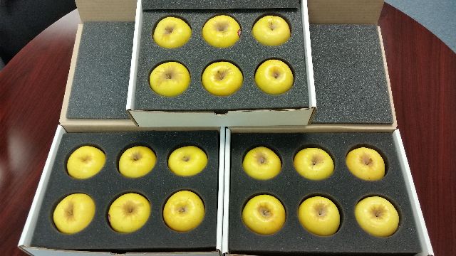 Opal Apples Launched Into Space