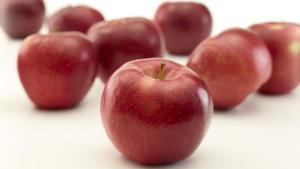 RubyFrost Hits Stores This Month