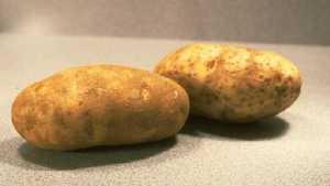 USDA Green Lights Genetically Modified Potato 