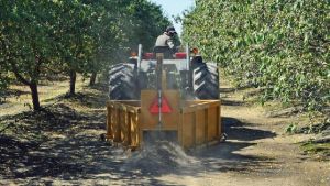 New Nut Industry Equipment