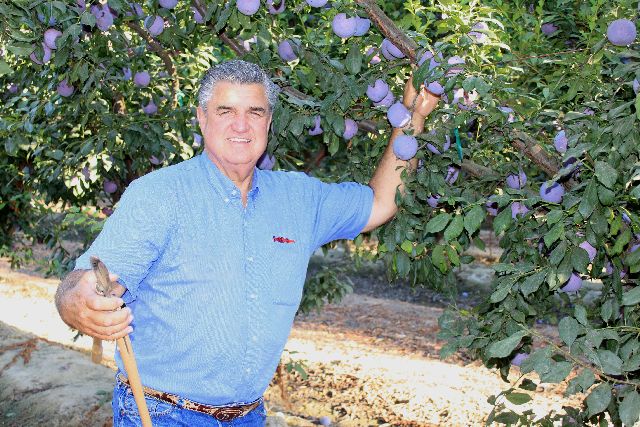 New Name, Same Mission: California Fresh Fruit Association