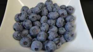 Scientists Setting Sights On Better-Tasting Blueberries