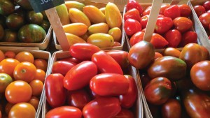 New Resource Helps Assess Local Food Benefits