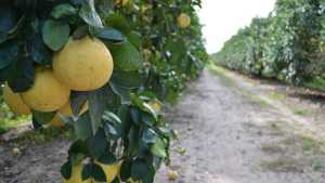 Chemical Dynamics Digs in to Help Others Keep Growing