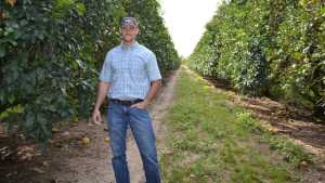 Florida Citrus Grower Takes On Big Task Of Micro-Managing HLB