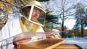 Top Beekeepers Wanted