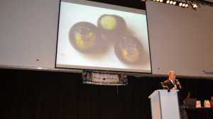 Pest And Disease Issues