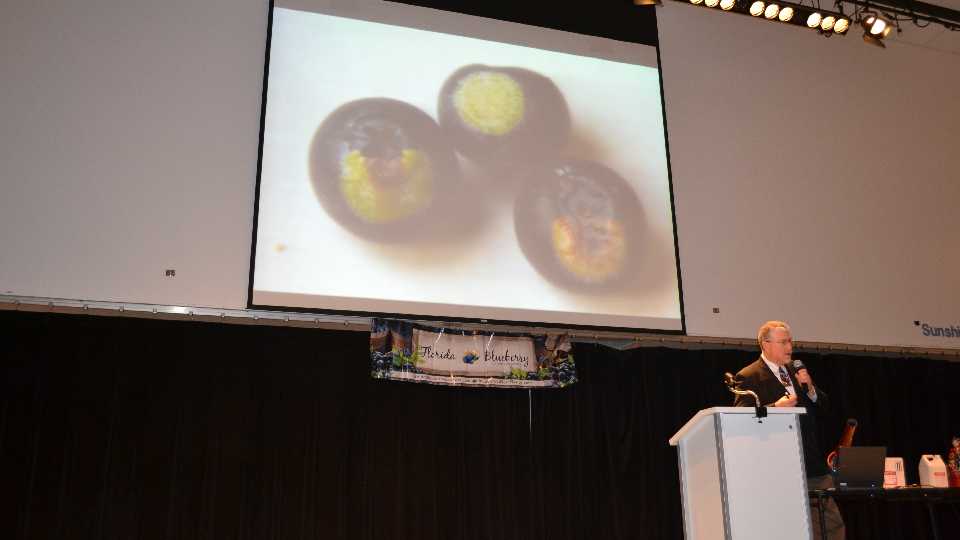 Pest And Disease Issues